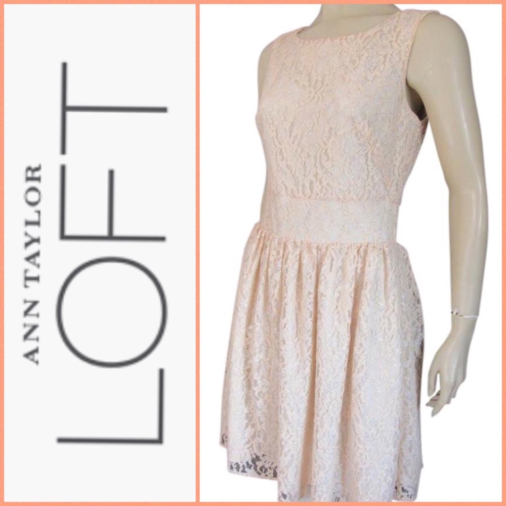 Ann Taylor LOFT Romantic Lace Vintage Look Dress 8